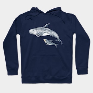 Rissos dolphin Hoodie